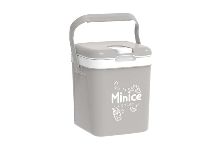 THÙNG ĐÁ MINICE 1 - Ảnh 2