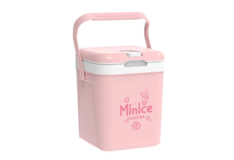 THÙNG ĐÁ MINICE 2 - Ảnh 2